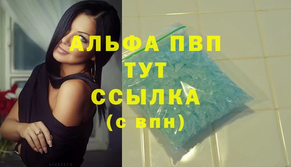 молекула духа Арсеньев