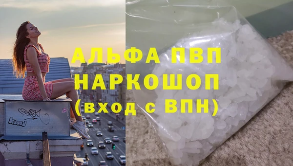 молекула духа Арсеньев