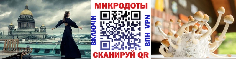 Купить где  Новое Девяткино  Псилоцибиновые грибы Psilocybe 